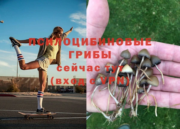 кокаин премиум Алексеевка