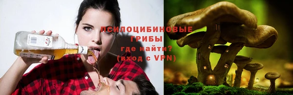 кокаин премиум Алексеевка