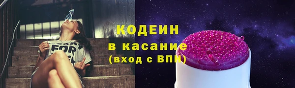 прущие грибы Алзамай