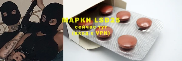 прущие грибы Алзамай
