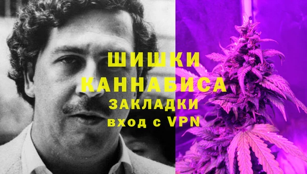 твердый Осинники