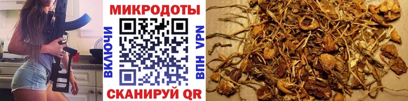 гидра онион  Туринск  Галлюциногенные грибы MAGIC MUSHROOMS 